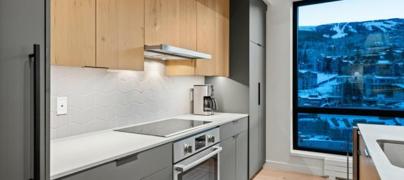 3 bedrooms Cafe / restaurant in Snowmass Village, USA No. 560246 9