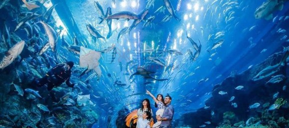 2 bedrooms Apartment in Dubai Creek Harbour (The Lagoons), UAE No. 7724 5