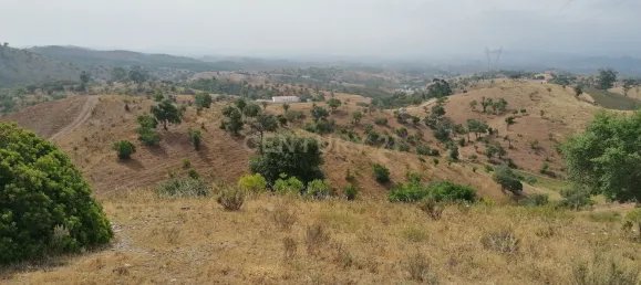  Land in Silves, Portugal No. 38218 8