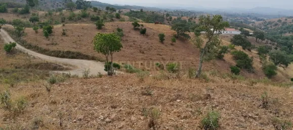  Land in Silves, Portugal No. 38218 7