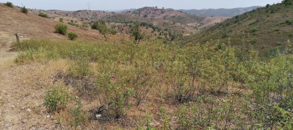  Land in Silves, Portugal No. 38218 3