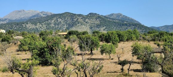 Grundstück in Selva, Spain, Nr. 156943 17