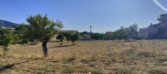 Grundstück in Selva, Spain, Nr. 156943 13