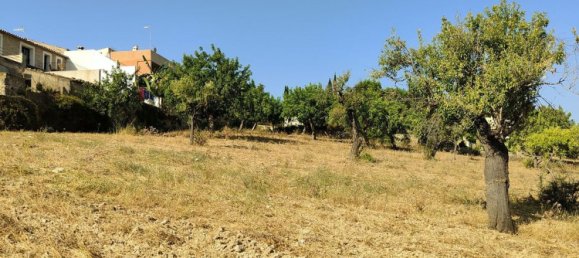 Grundstück in Selva, Spain, Nr. 156943 11