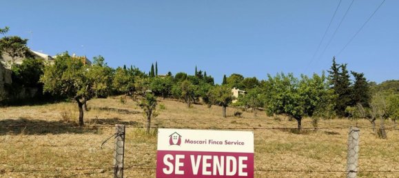 Grundstück in Selva, Spain, Nr. 156943 25