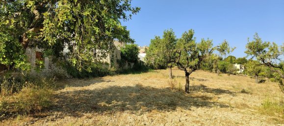  Land in Selva, Spain No. 156943 27