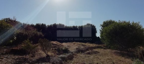 4 غرف نوم منزل في Sintra, Portugal رقم 163962 40