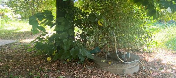 4 Schlafzimmer Villa in Pescia, Italy, Nr. 305363 15