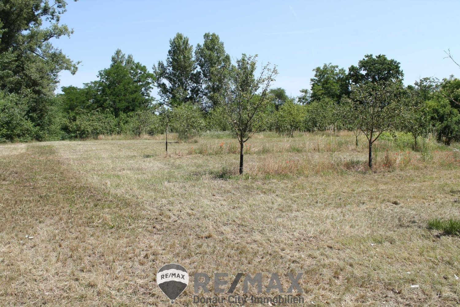 Земельный участок 5023м² в Зирндорф, Австрия № 132650