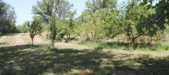 Земельный участок 5023м² в Зирндорф, Австрия № 132650 6