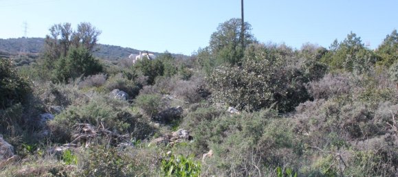 Hotel in Agios Nikolaos, Greece 6048m², Nr. 5191 6