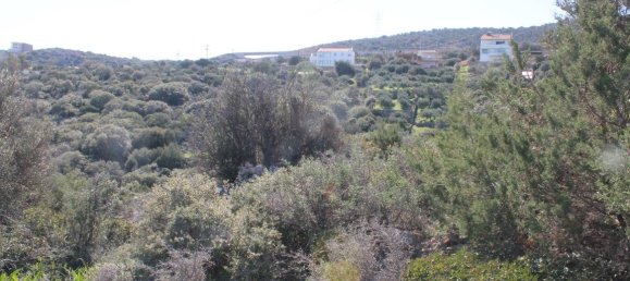 Hotel in Agios Nikolaos, Greece 6048m², Nr. 5191 4