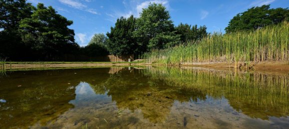 2 bedrooms Townhouse in Vorpommern-Greifswald, Germany No. 128121 14