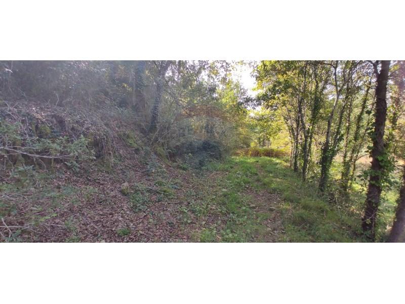 4560m² Land in Arcos de Valdevez, Portugal No. 287255