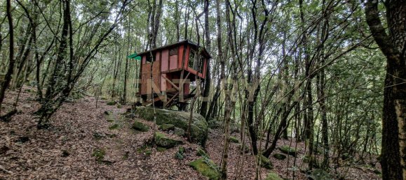 4 bedrooms House in Roccastrada, Italy No. 316844 2