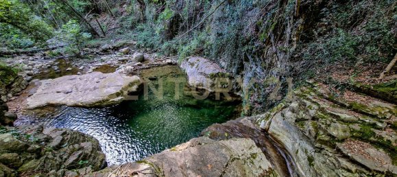 4 bedrooms House in Roccastrada, Italy No. 316844 6