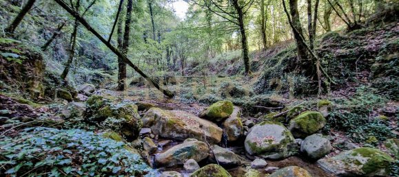 4 bedrooms House in Roccastrada, Italy No. 316844 41