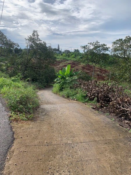 5890m² Land in Long Khanh, Vietnam No. 13197