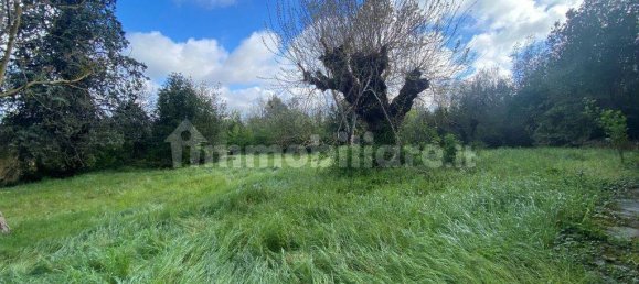 5 bedrooms House in Castiglione del Lago, Italy No. 78071 9