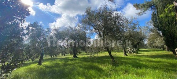 5 bedrooms House in Castiglione del Lago, Italy No. 78071 12