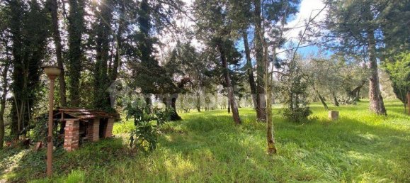 5 bedrooms House in Castiglione del Lago, Italy No. 78071 10