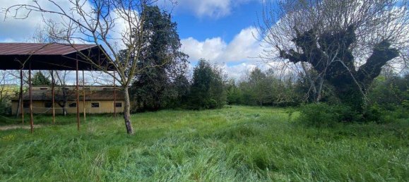 5 bedrooms House in Castiglione del Lago, Italy No. 78071 8