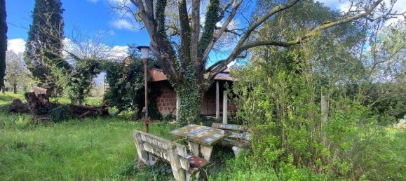 5 bedrooms House in Castiglione del Lago, Italy No. 78071 5