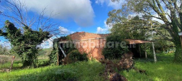 5 bedrooms House in Castiglione del Lago, Italy No. 78071 11