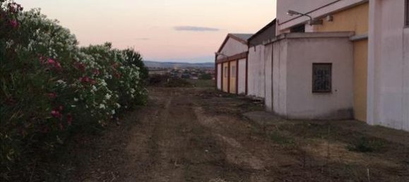 1400m² Property in Chalkidiki, Greece No. 4695 6