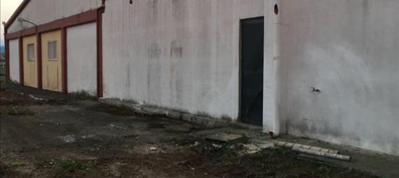 1400m² Property in Chalkidiki, Greece No. 4695 10