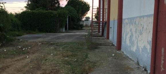 1400m² Property in Chalkidiki, Greece No. 4695 11