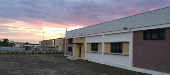 1400m² Property in Chalkidiki, Greece No. 4695 4