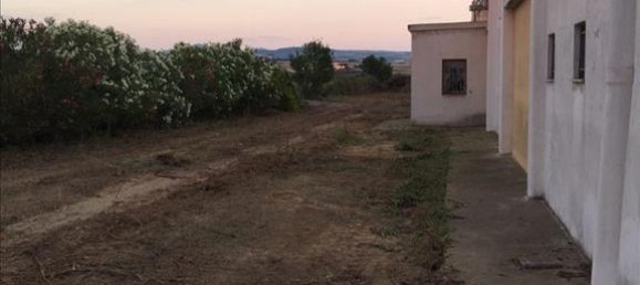 1400m² Property in Chalkidiki, Greece No. 4695 7