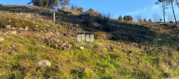 6266m² Land in Soalhaes, Portugal No. 56135 5