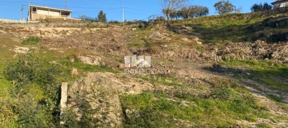 6266m² Land in Soalhaes, Portugal No. 56135 19