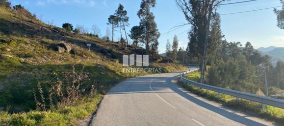 6266m² Land in Soalhaes, Portugal No. 56135 23