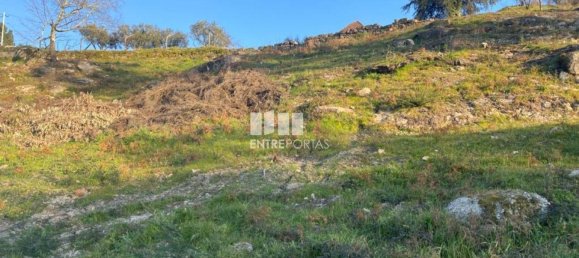 6266m² Land in Soalhaes, Portugal No. 56135 2