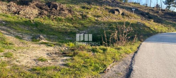 6266m² Land in Soalhaes, Portugal No. 56135 14