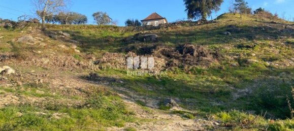 6266m² Land in Soalhaes, Portugal No. 56135 21
