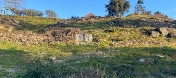 6266m² Land in Soalhaes, Portugal No. 56135 6