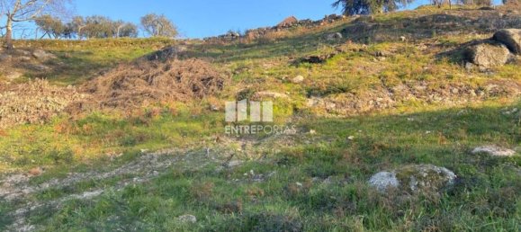 6266m² Land in Soalhaes, Portugal No. 56135 27