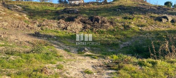 6266m² Land in Soalhaes, Portugal No. 56135 10
