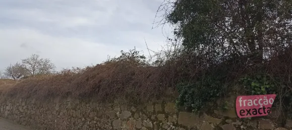 Terrain à Vila Nova de Gaia, Portugal No. 52293 6