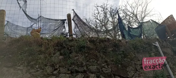 Terrain à Vila Nova de Gaia, Portugal No. 52293 5