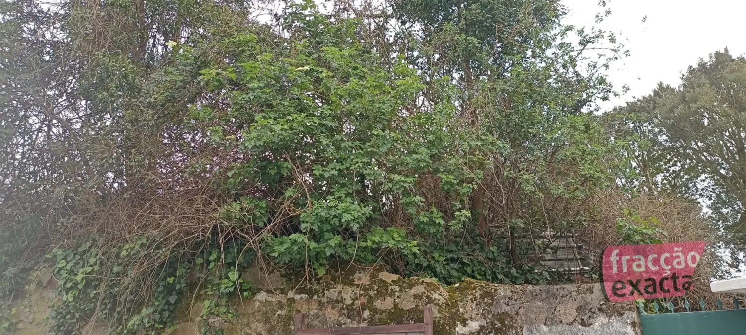 Terrain à Vila Nova de Gaia, Portugal No. 52293