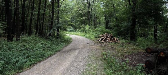 Terreno en Liesing, Austria 810 m² No. 153564 2