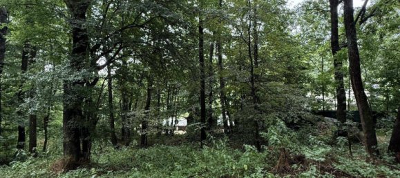 Terreno en Liesing, Austria 810 m² No. 153564 3