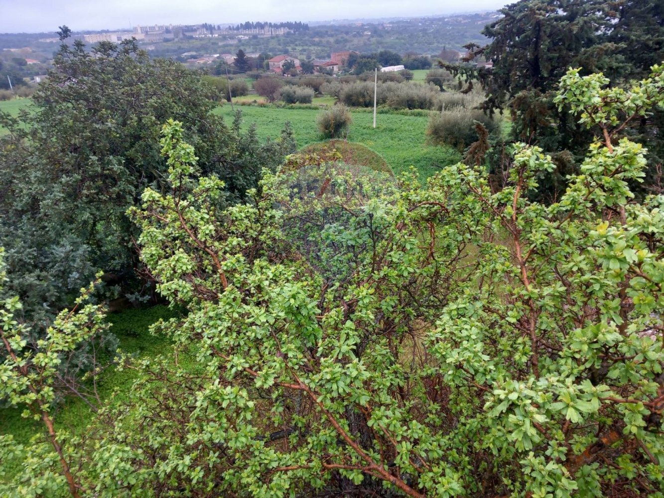 Villa de 4 dormitorios en Modica, Italy No. 19420