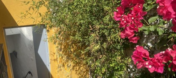 2 bedrooms Townhouse in Cadiz, Spain No. 161789 37