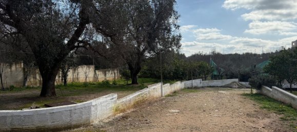 6-salle Villa à San Vito dei Normanni, Italy No. 175630 10